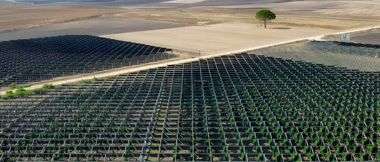 Instalaciones fotovoltaicas en viñedos: Beneficios y protección 1 fotovoltaica en vinedos